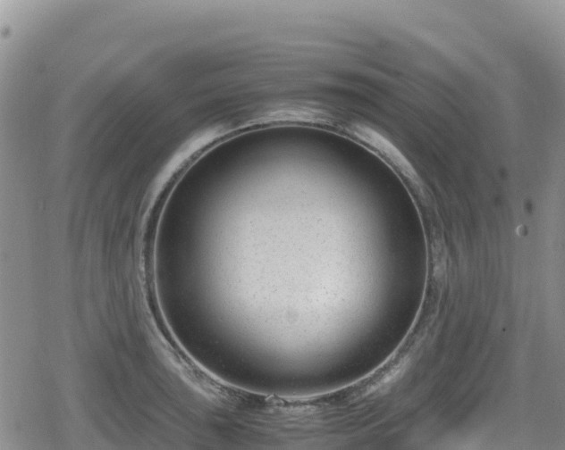 X0000080711043200612221138