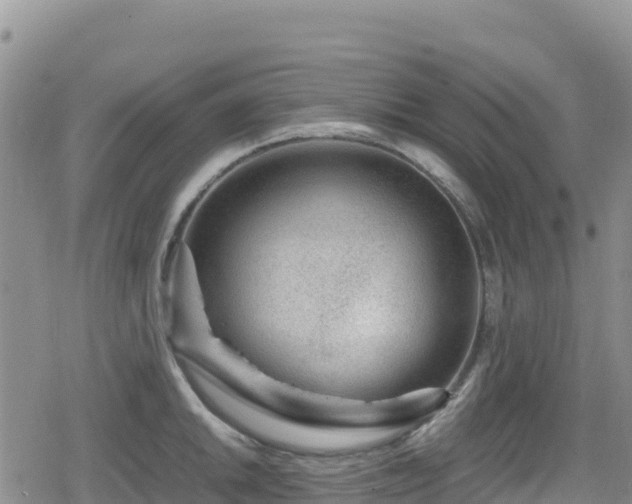 X0000080711046200612221138