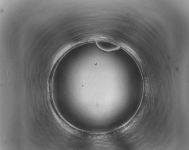 X0000080711047200612221138