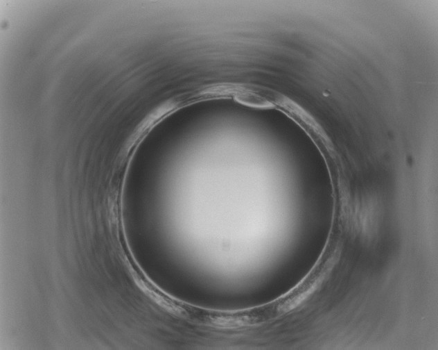 X0000080711049200612221138