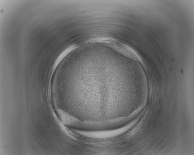 X0000080711050200612221138