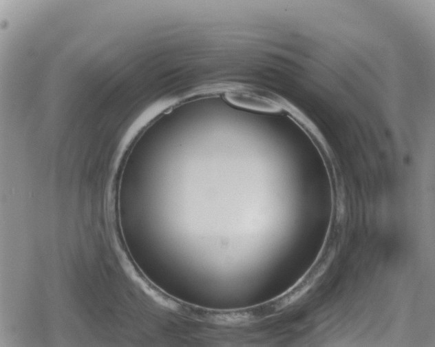 X0000080711053200612221138