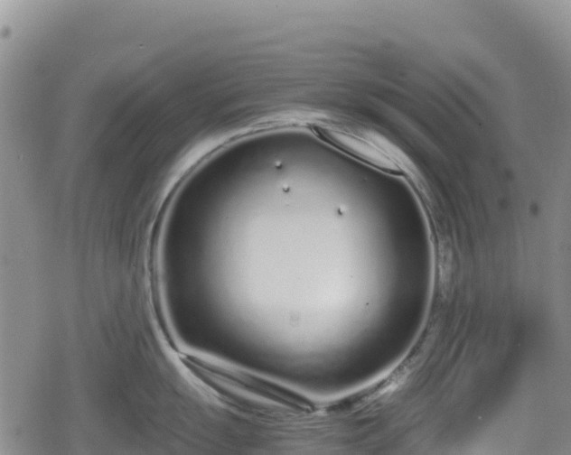 X0000080711055200612221138