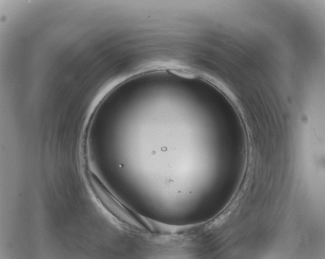 X0000080711056200612221138