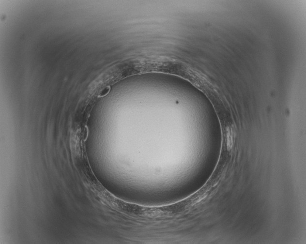 X0000080711059200612221137