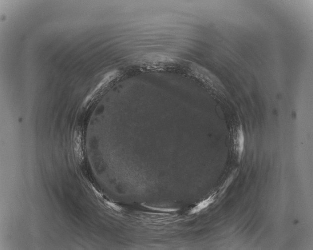 X0000080711060200612221137