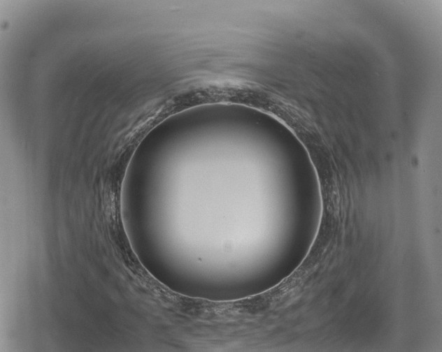 X0000080711061200612221137