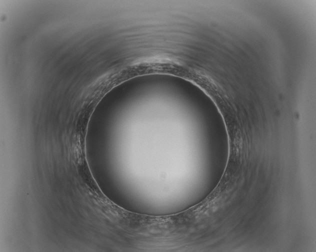 X0000080711062200612221137