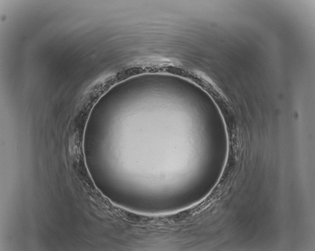 X0000080711063200612221137