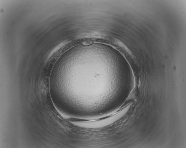 X0000080711064200612221137