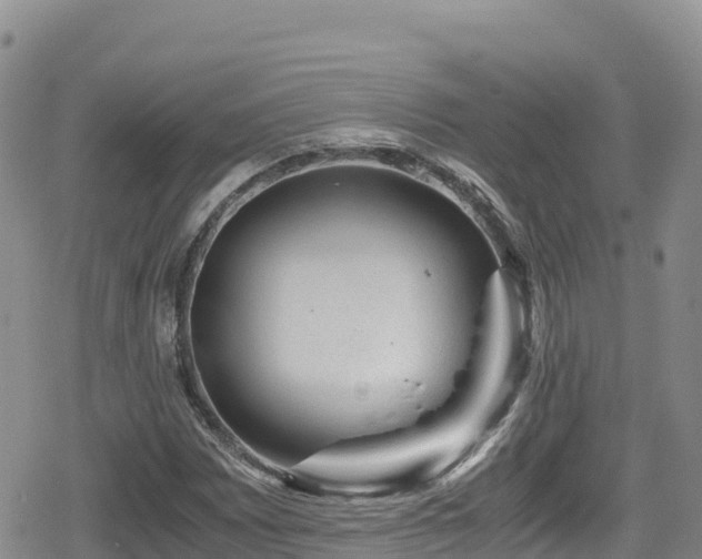 X0000080711065200612221137