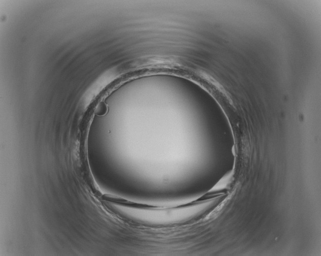 X0000080711066200612221137