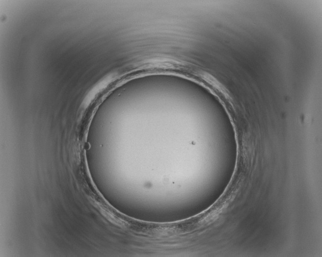 X0000080711067200612221137