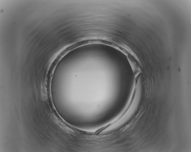 X0000080711068200612221137