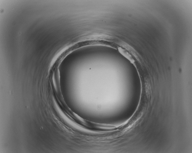 X0000080711069200612221137