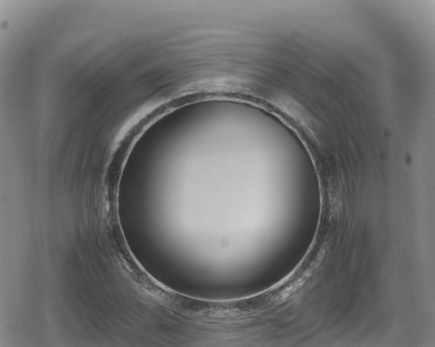 X0000080711070200612221137