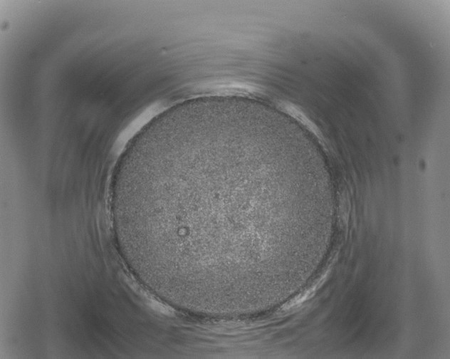 X0000080711071200612221137