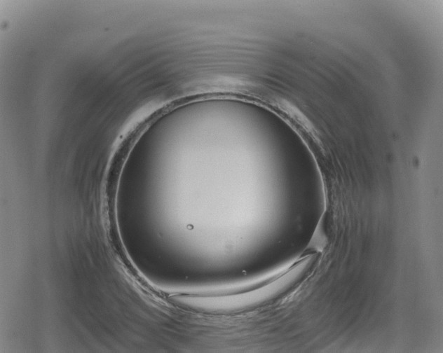 X0000080711072200612221137