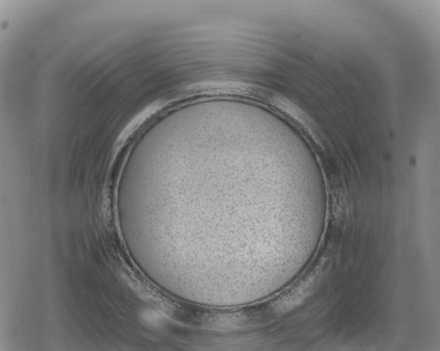 X0000080711074200612221137