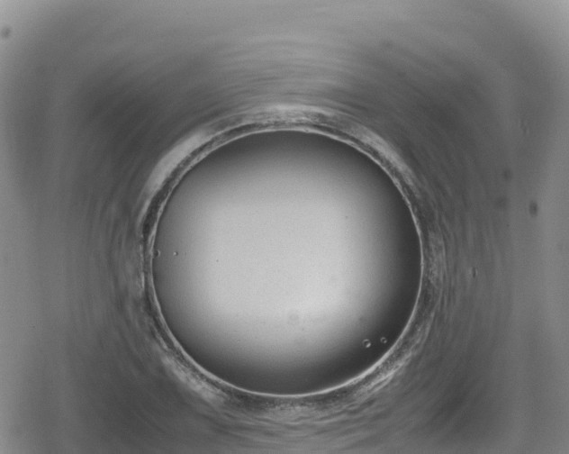 X0000080711075200612221137