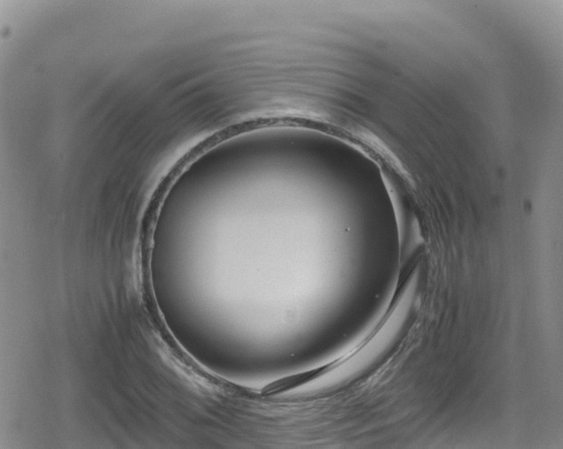 X0000080711076200612221137