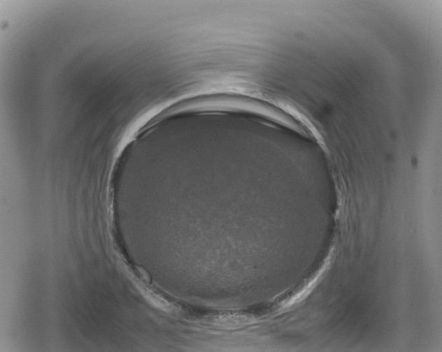 X0000080711077200612221137