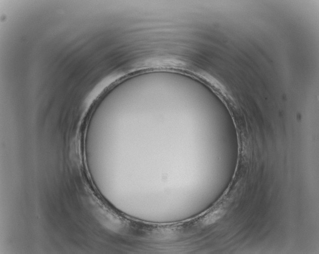 X0000080711078200612221137