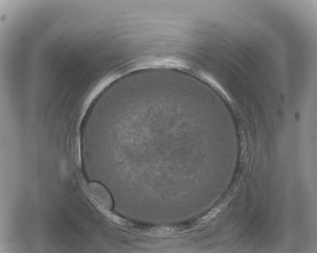 X0000080711079200612221137