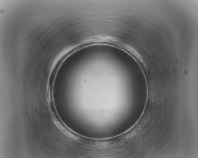 X0000080711080200612221137