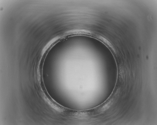 X0000080711082200612221137