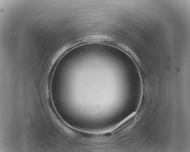 X0000080711083200612221137