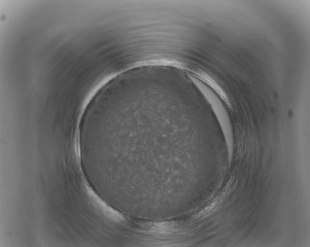 X0000080711084200612221137