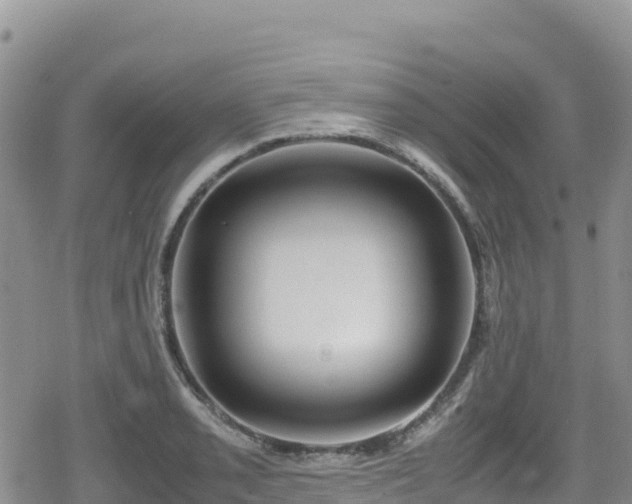 X0000080711085200612221137