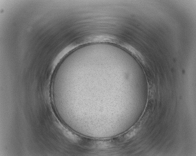 X0000080711086200612221137