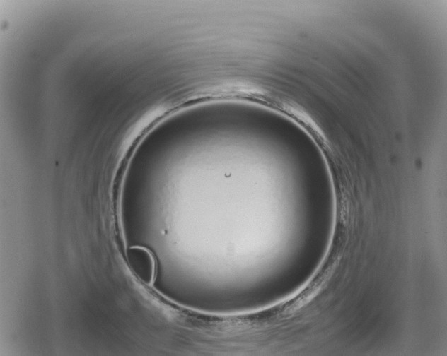 X0000080711087200612221137