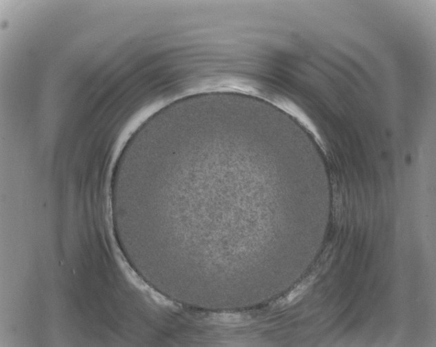 X0000080711088200612221137