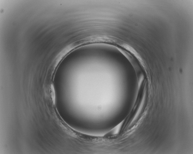 X0000080711089200612221137