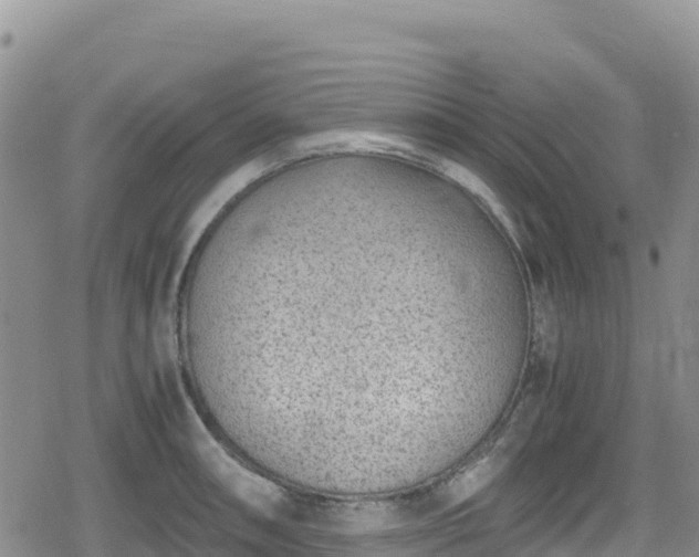 X0000080711090200612221137