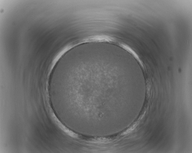 X0000080711091200612221137