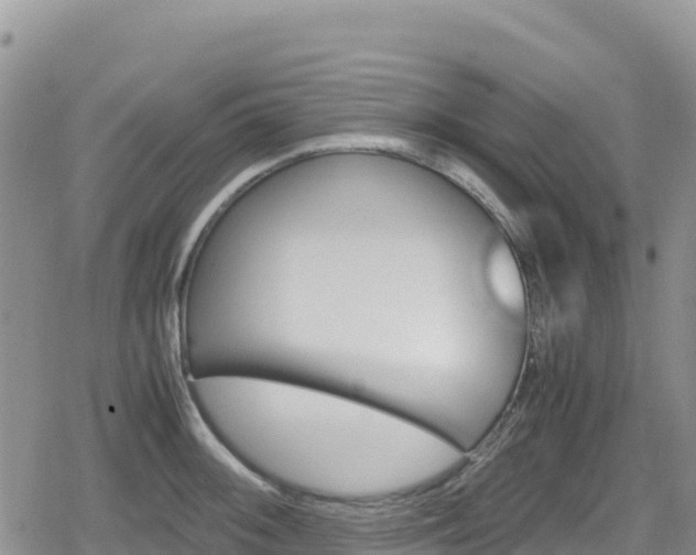 X0000080711092200612221137