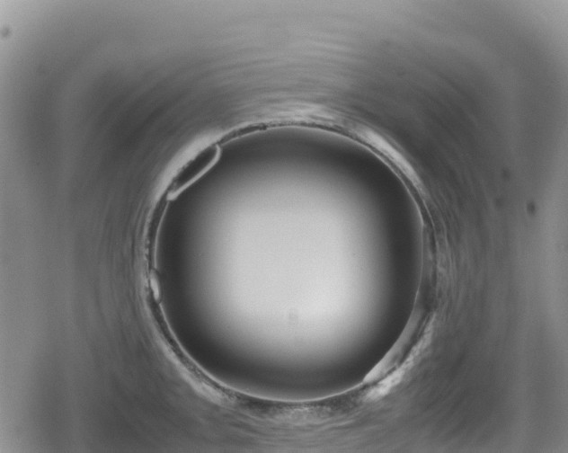 X0000080711093200612221136