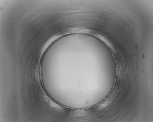 X0000080711094200612221136