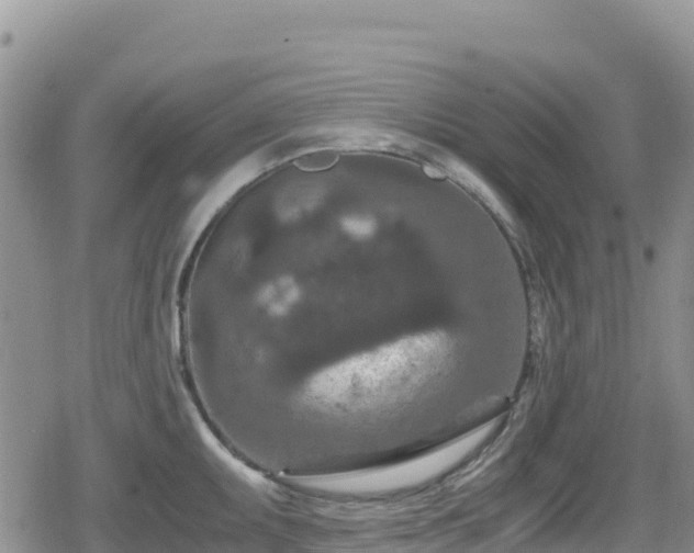 X0000080711095200612221136