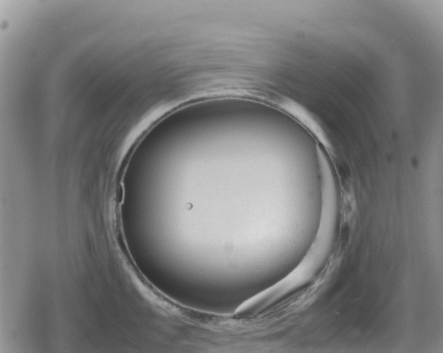 X0000080711101200612221136