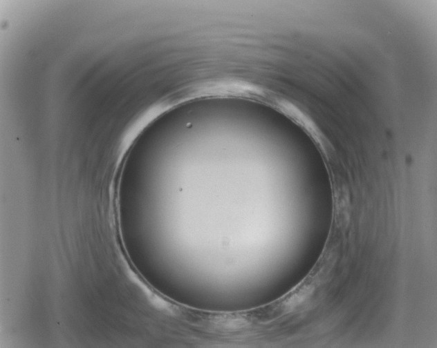 X0000080711103200612221136