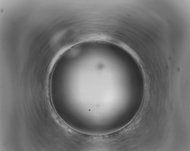 X0000080711104200612221136