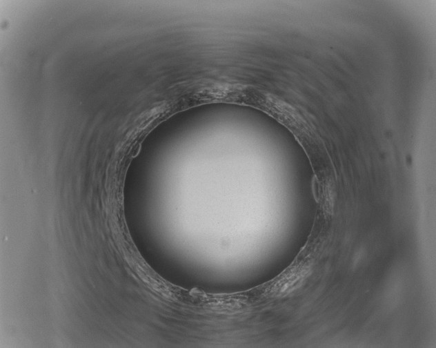 X0000080711105200612221136