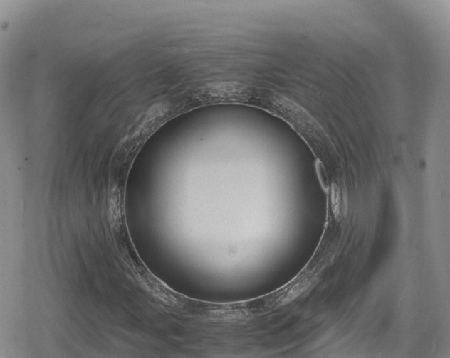 X0000080711107200612221136