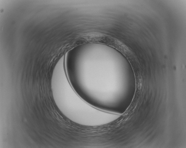 X0000080711108200612221136