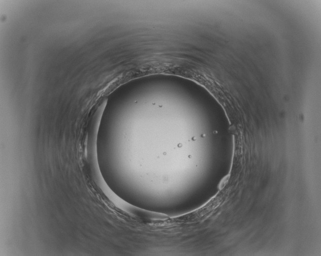 X0000080711109200612221136